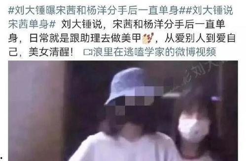 刘大锤恋情爆料最新消息,新恋情曝光，细节惊人！