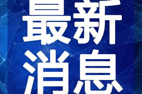 小蛙最新爆料新闻视频,最新爆料新闻视频深度解析